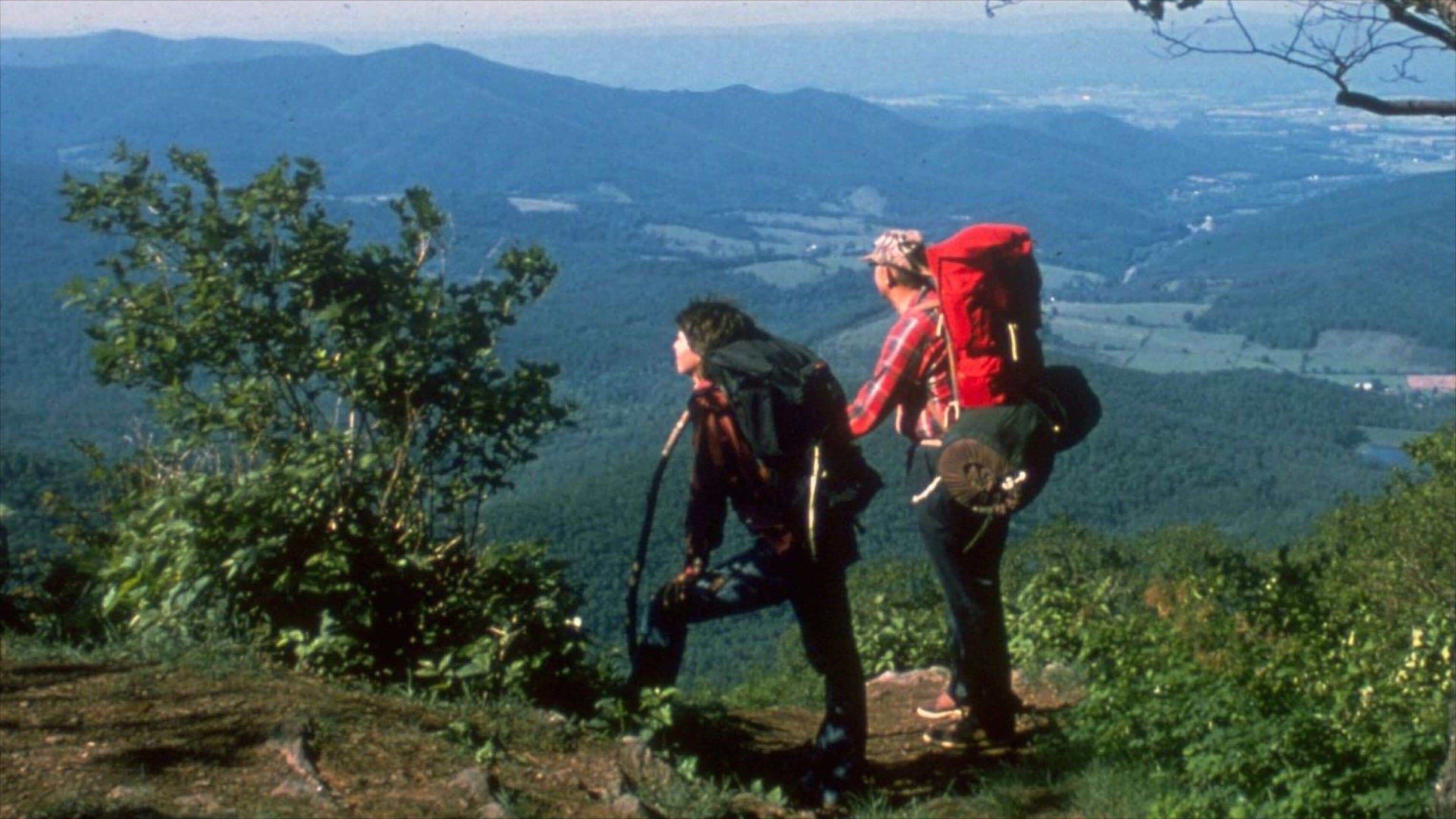 Luray which includes hiking or walking and mountains as well as a small group of people