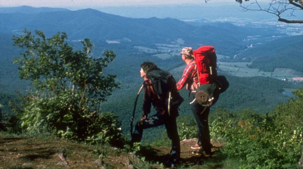 Luray mostrando montañas y senderismo o caminata y también un pequeño grupo de personas