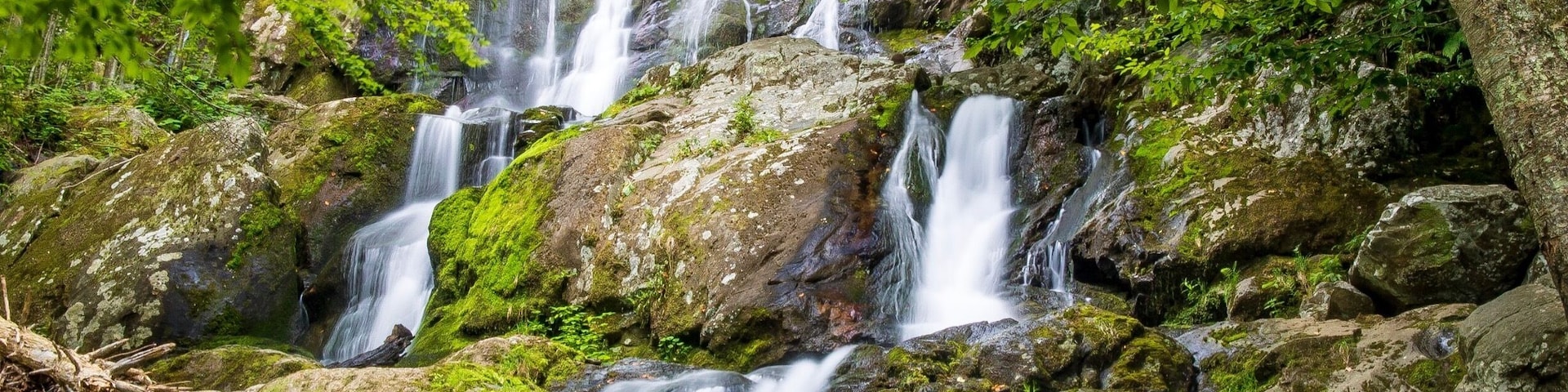 A short hike (.9 miles round trip) to see these beautiful falls. They were worth every step.
