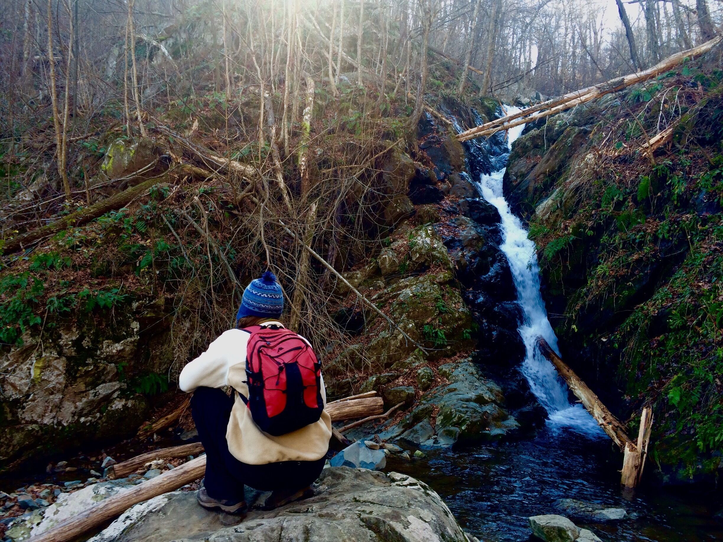 One of the smaller waterfalls along the trail to Dark Hollow Falls