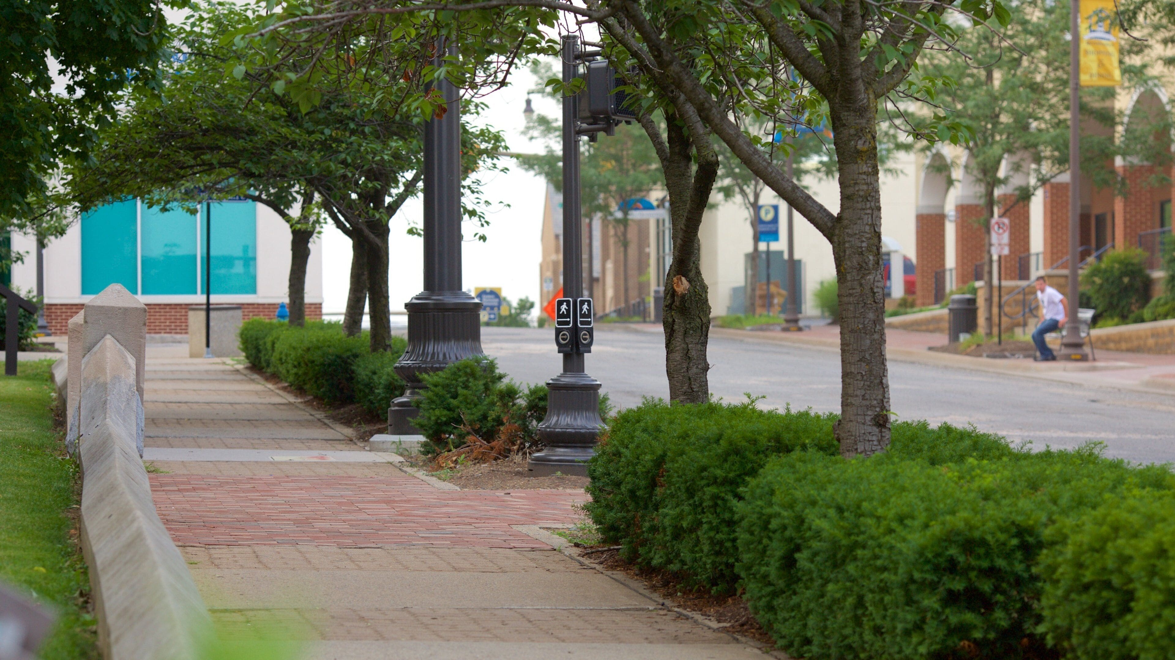 Harrisonburg showing a park and street scenes