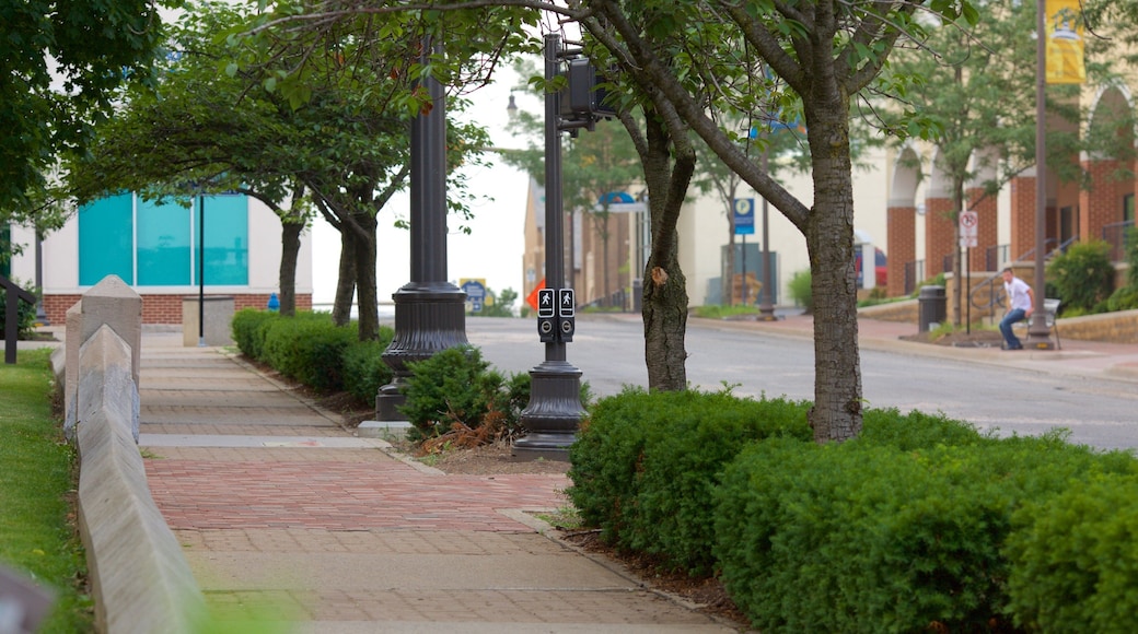 Harrisonburg showing a park and street scenes