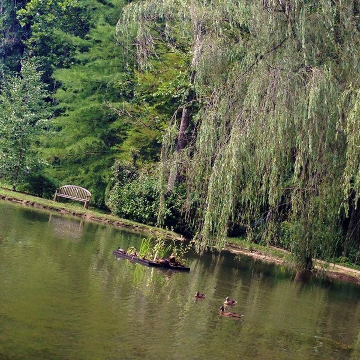 Edith J. Carrier Arboretum on the JMU campus