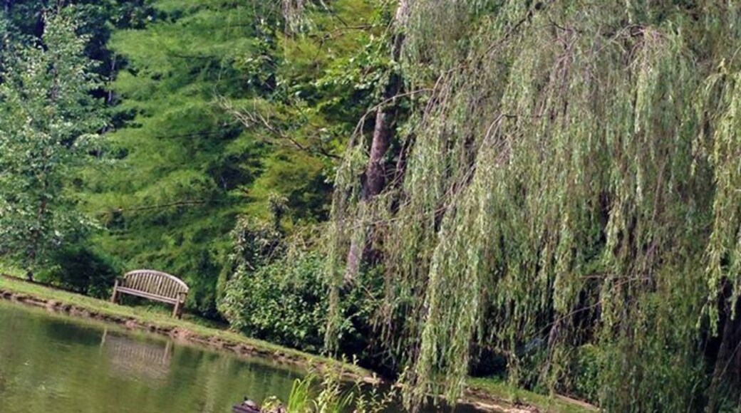 Edith J. Carrier Arboretum on the JMU campus