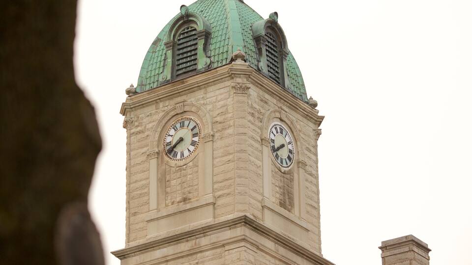 A clock tower with a green dome and two clocks.