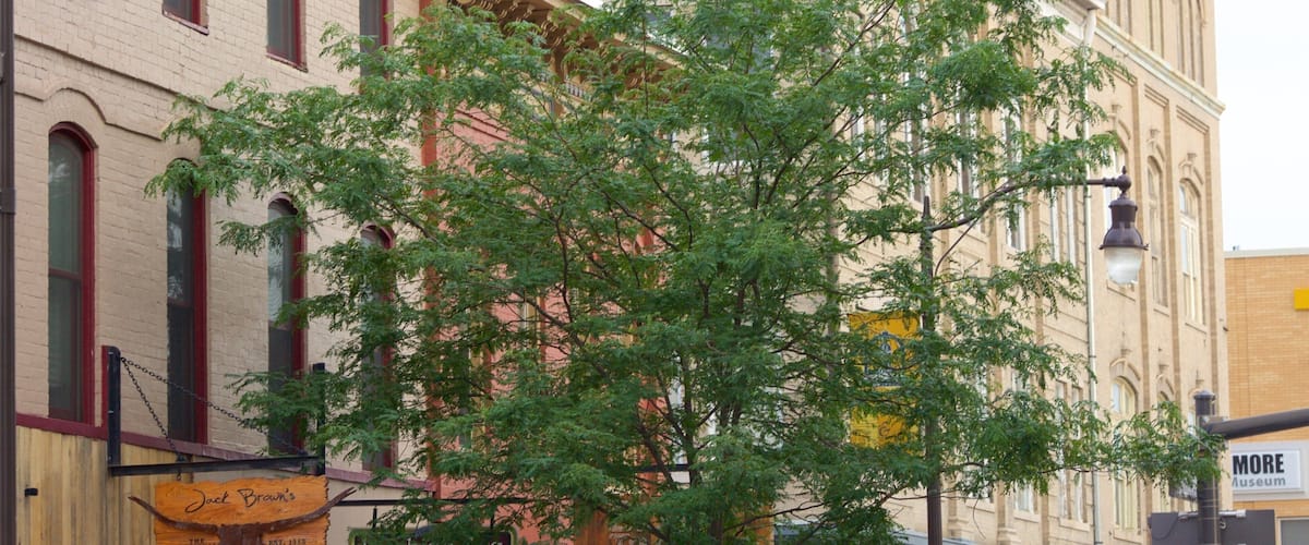 ํด๋ฆฌ์จ๋ฒ๊ทธ ์ด ํฌํจ ๋ฌธํ์ ์ฐ ์์ ๊ณผ ๋์