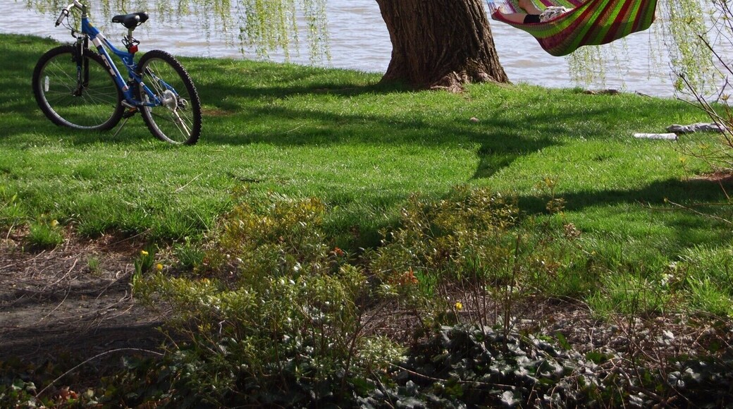 A student lounging beside Newman Lake on James Madison University's campus in the spring. Sitting under the willow trees is a great place to relax and enjoy the valley!
