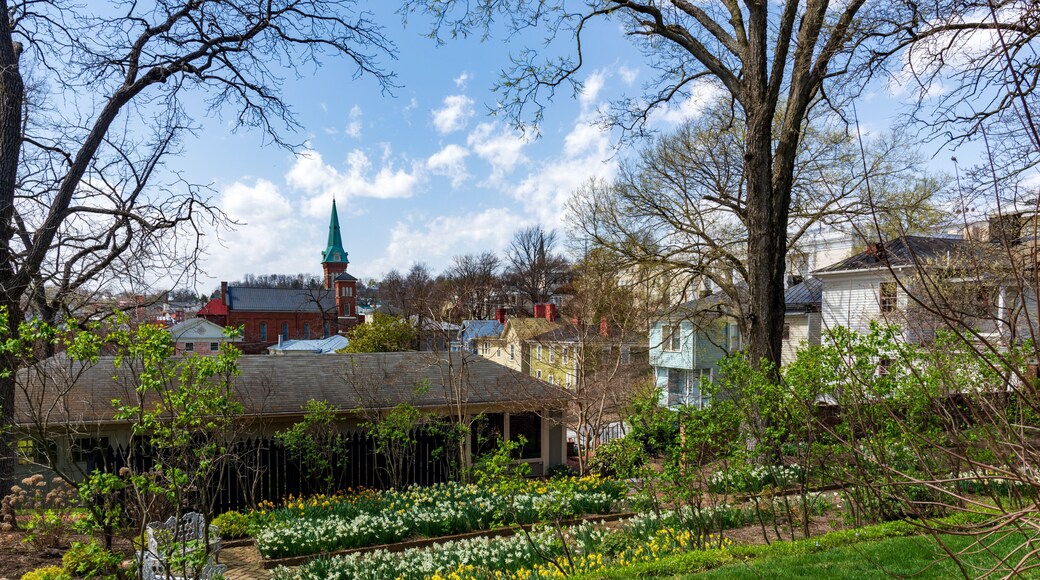 Staunton