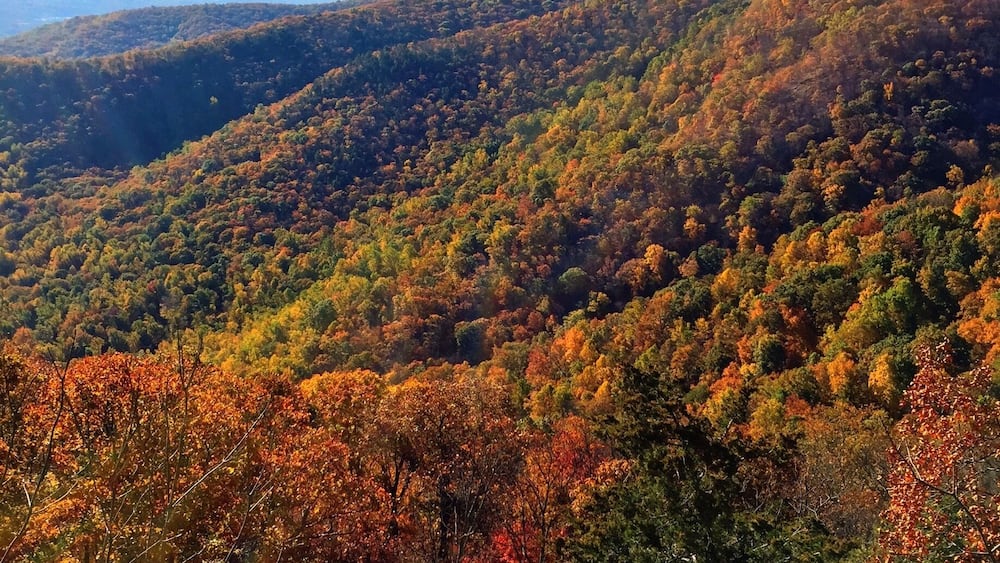 A mountainous landscape with autumn foliage.