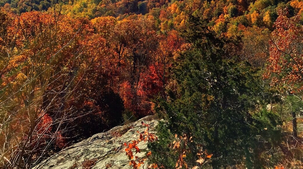 #Hiking the Appalachian Trail, and found this view from Humpback Rocks.