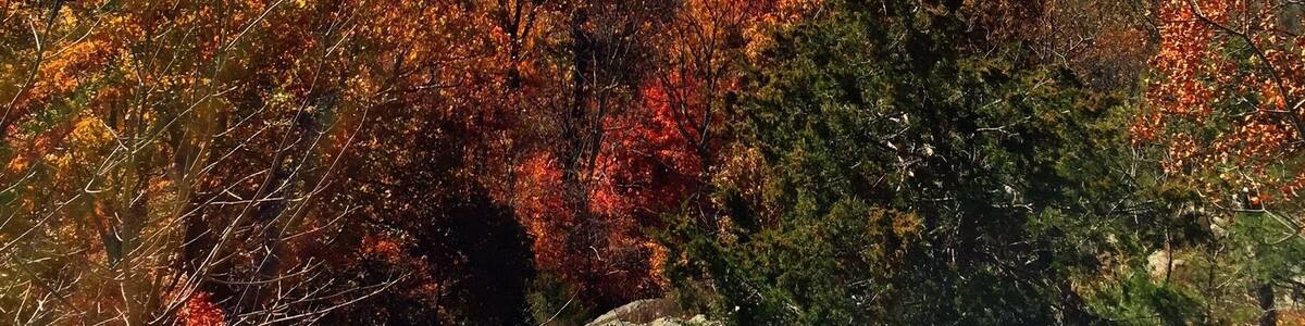 Un paysage montagneux aux couleurs automnales.