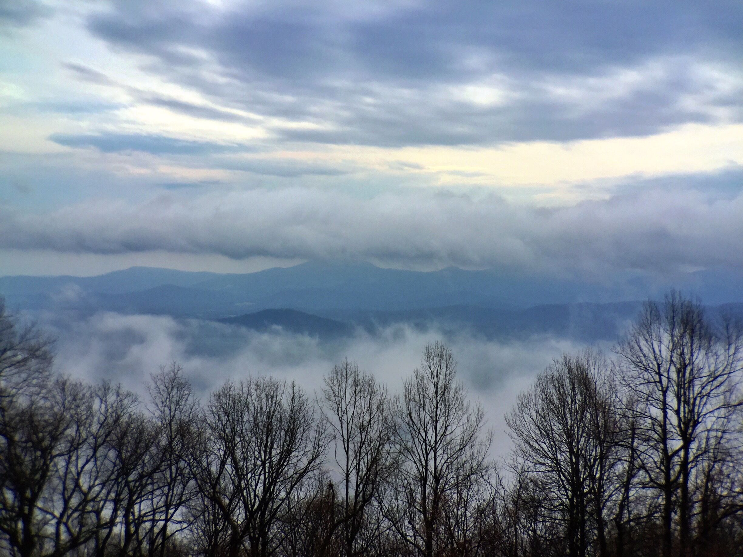 On a recent one-day #roadtrip to the Blue Ridge Parkway in Virginia, I found myself both above and below the clouds! It was only my second time out here, but I'll be making sure to come more often this spring!