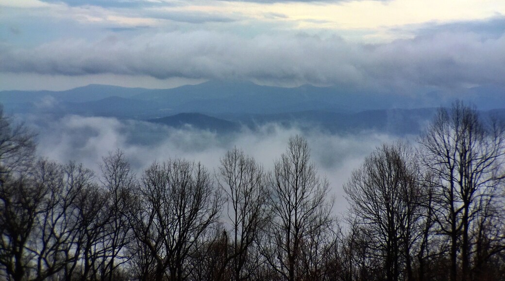 On a recent one-day #roadtrip to the Blue Ridge Parkway in Virginia, I found myself both above and below the clouds! It was only my second time out here, but I'll be making sure to come more often this spring!
