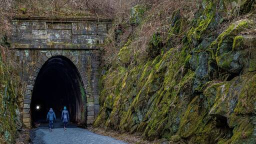 A stone tunnel with moss-covered walls and a rocky hillside.