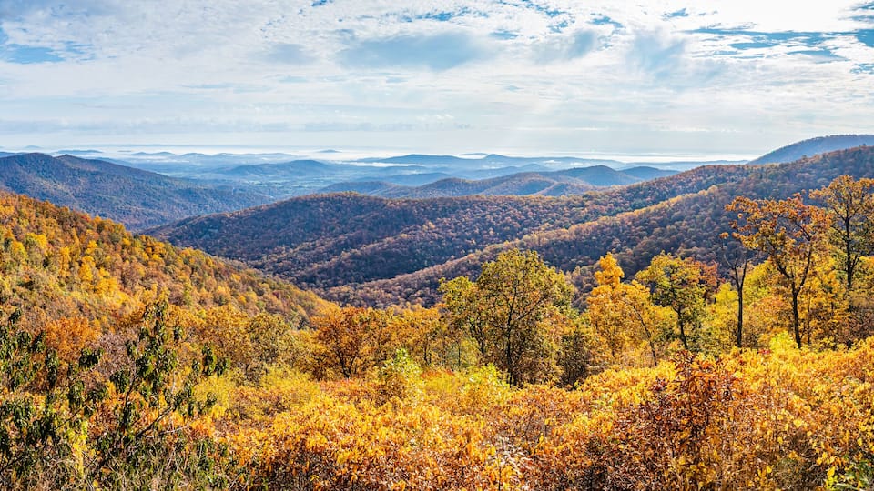 A mountainous landscape with autumn foliage.