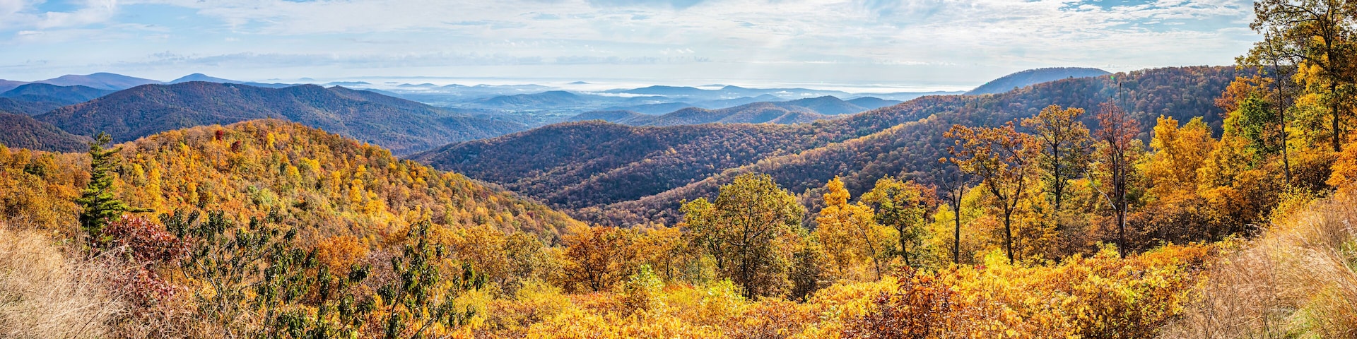Buck Hollow Overlook Shenandoah National Park