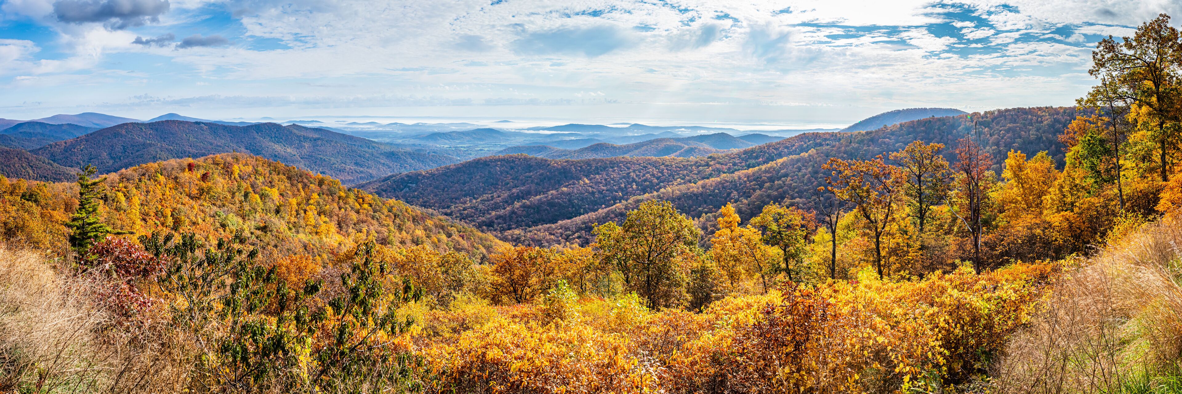 A mountainous landscape with autumn foliage.