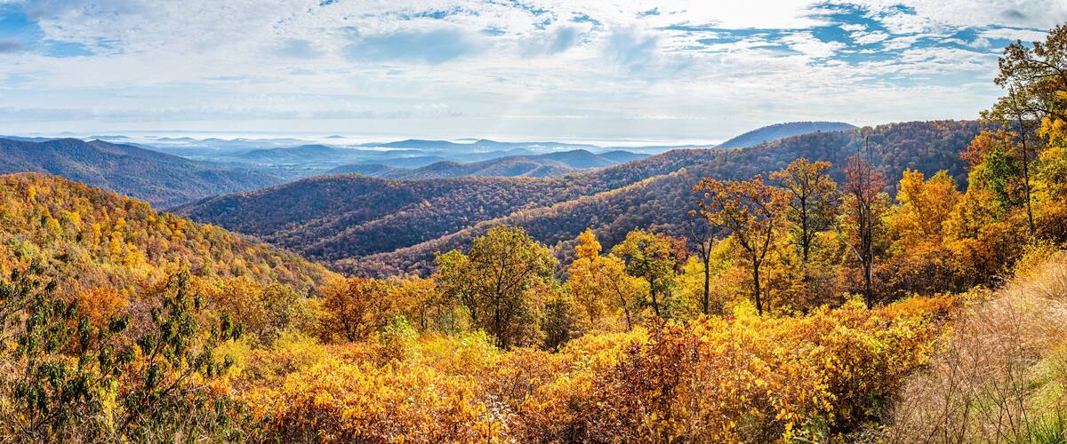 A mountainous landscape with autumn foliage.