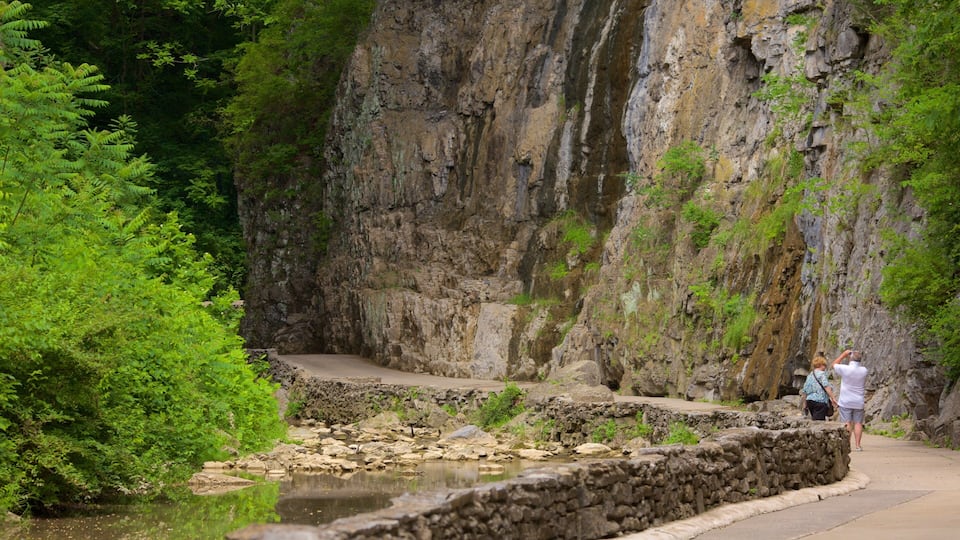 A rocky cliff with a pathway and a small pond.