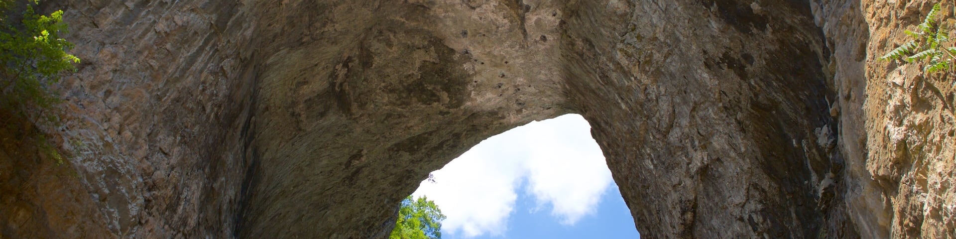 Natural Bridge Virginia featuring a garden and a bridge