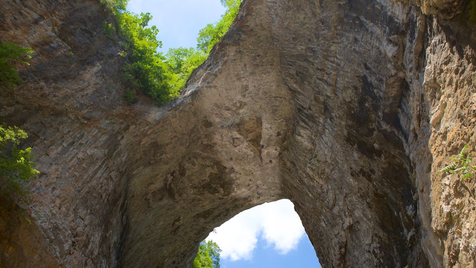 A natural rock arch formation with greenery above and a clear sky.