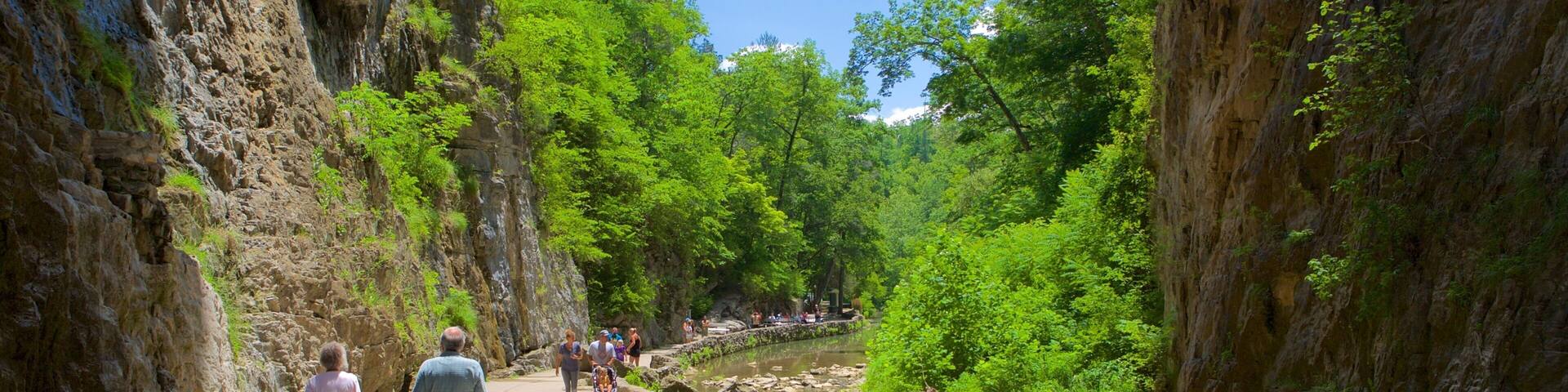 Natural Bridge Virginia showing a park and a river or creek