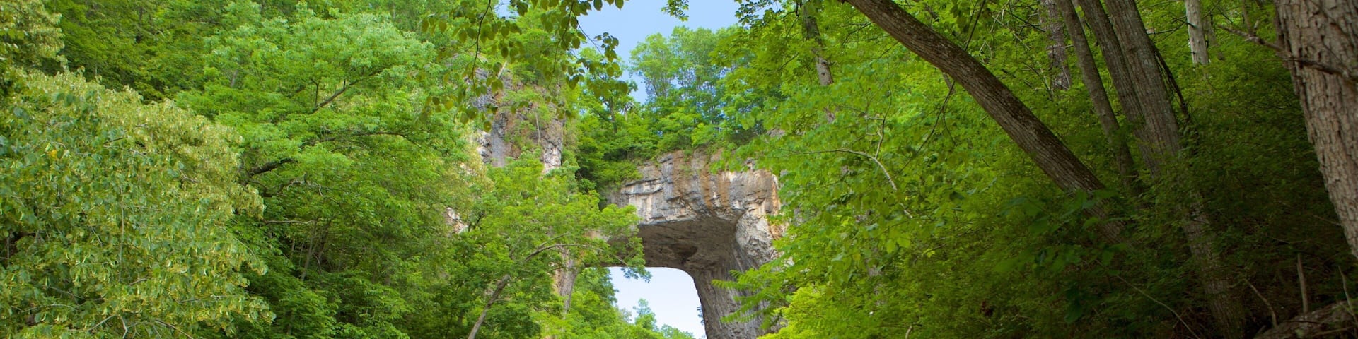 Puente natural de Virginia ofreciendo un parque y un puente