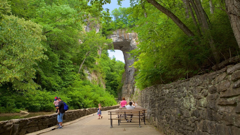 A stone wall with benches, a narrow path, and a large rock archway surrounded by dense green foliage.