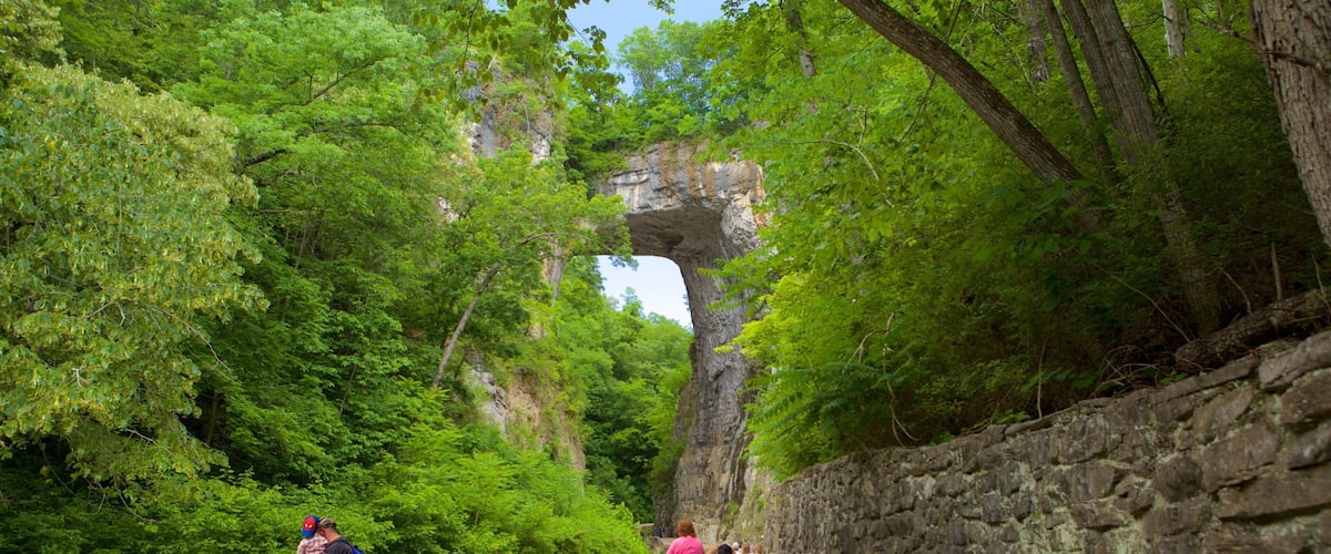 A stone wall with benches, a narrow path, and a large rock archway surrounded by dense green foliage.