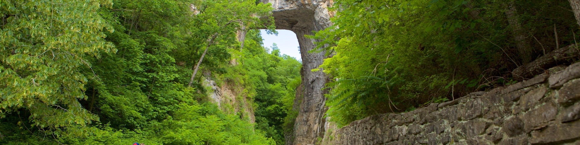 A stone wall with benches, a narrow path, and a large rock archway surrounded by dense green foliage.