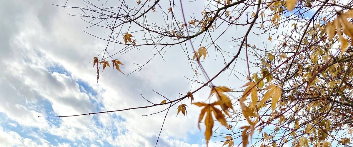 On my way to the smallest church