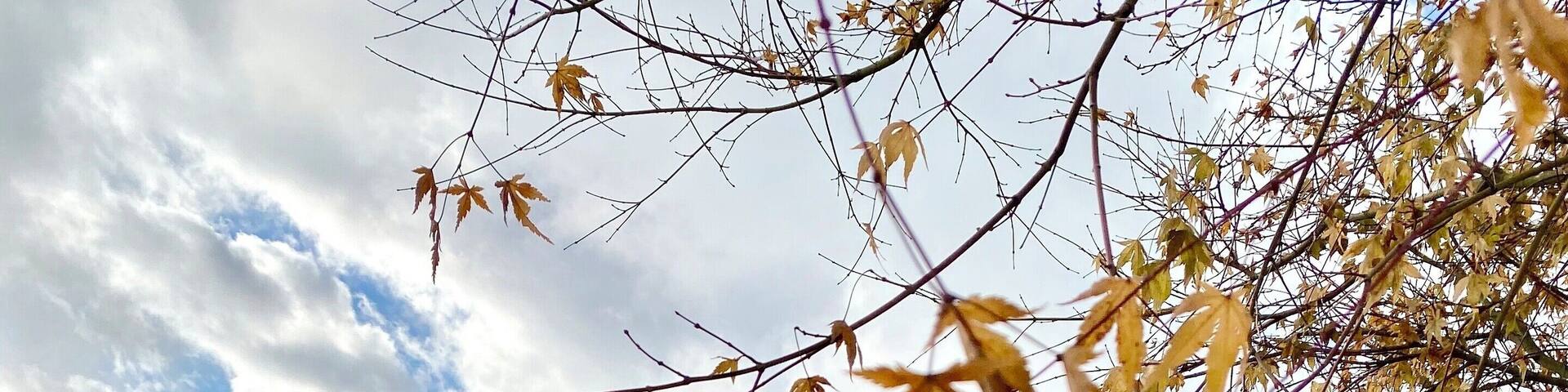 On my way to the smallest church