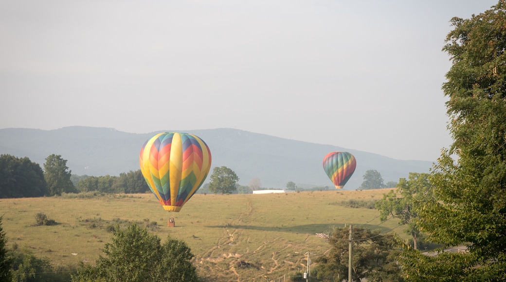 Hot air balloons takes flight in the early morning at the Wytheville Chautauqua Balloon Festival in 2021.
