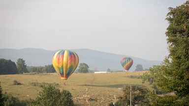 Hot air balloons takes flight in the early morning at the Wytheville Chautauqua Balloon Festival in 2021.