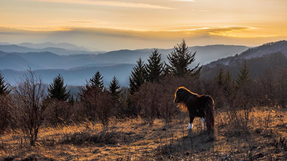 Sunset at Grayson Highlands