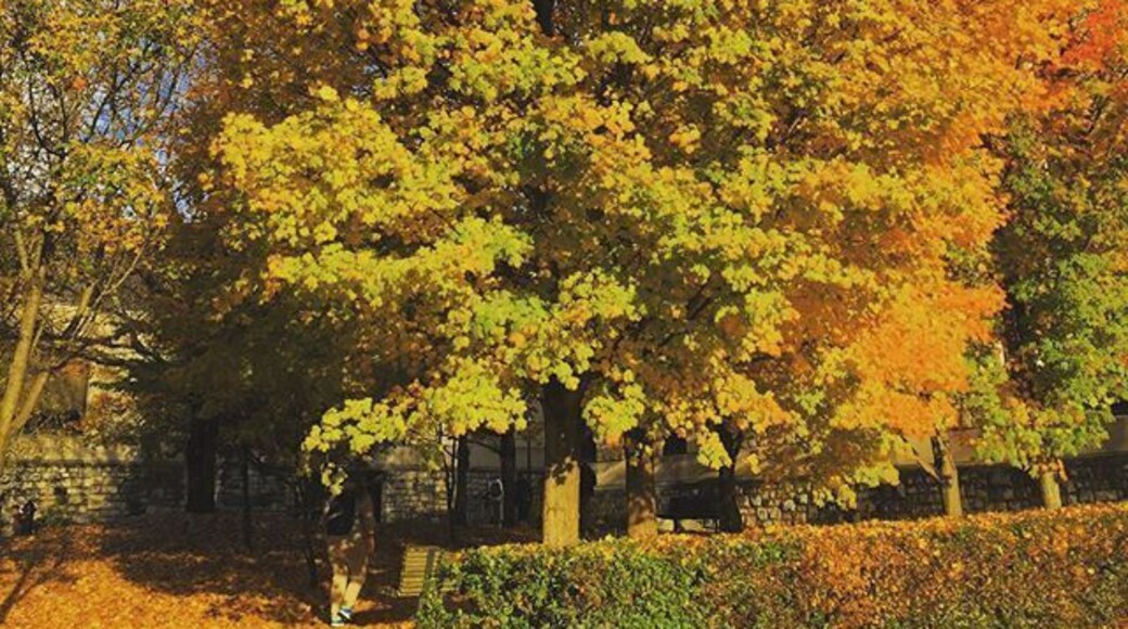 Here's a nice scenic pic of VT