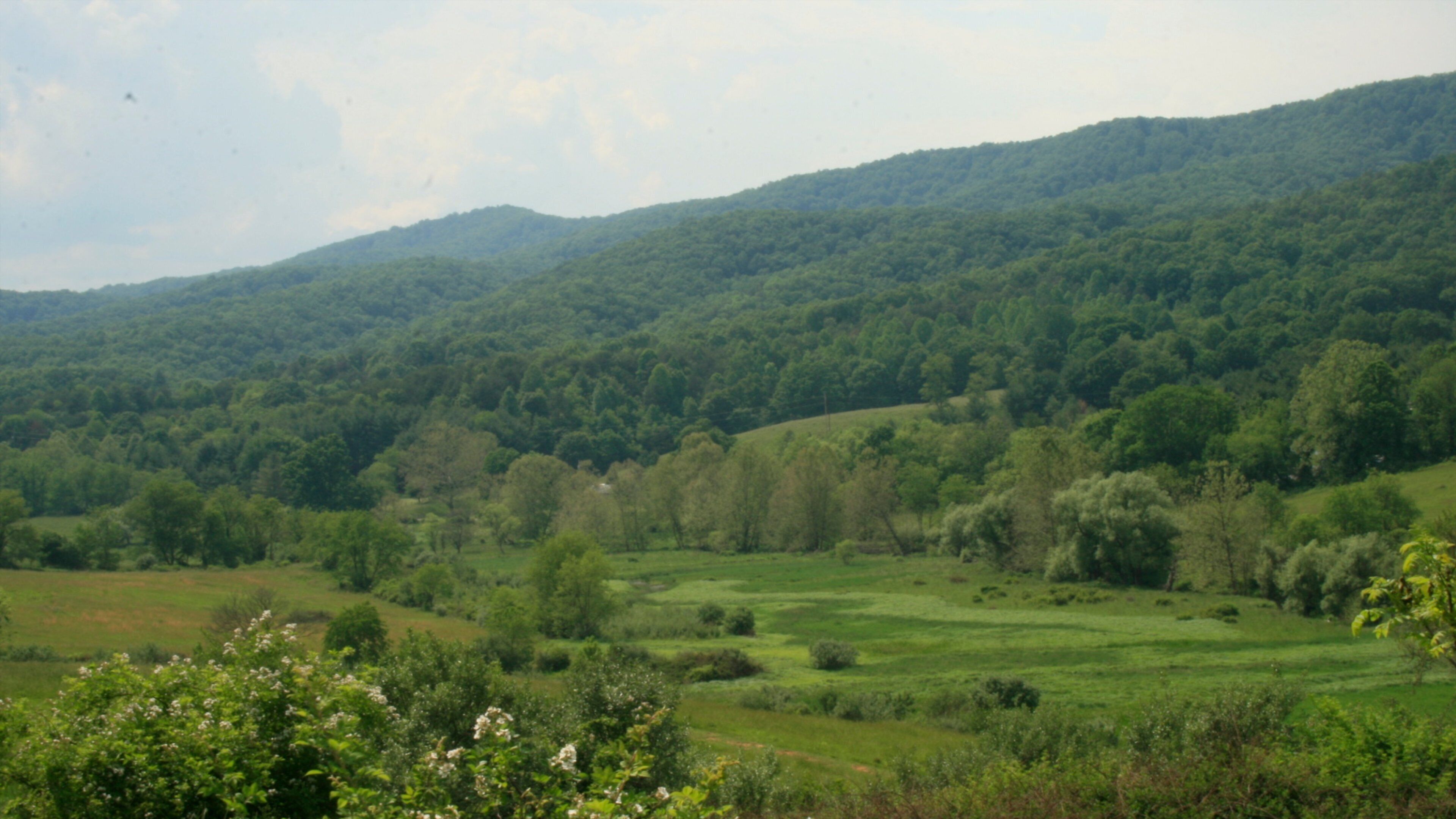 Blacksburg which includes forest scenes and landscape views