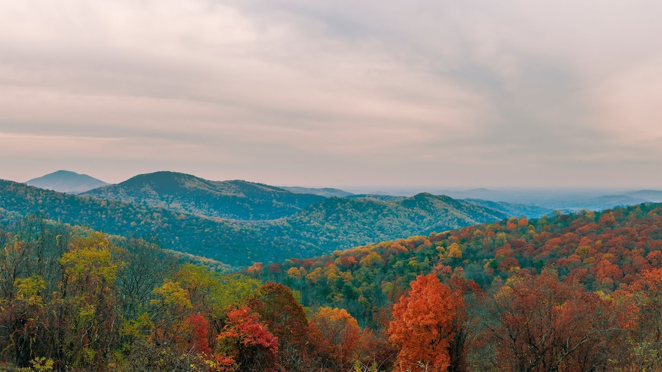 A mountainous landscape with autumn foliage.