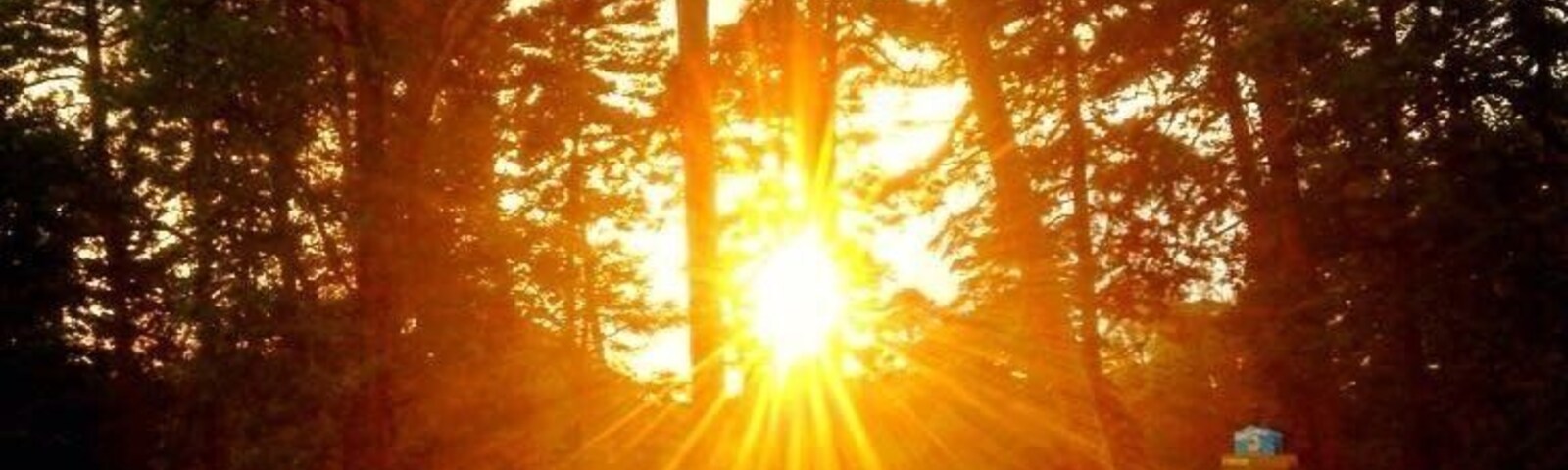 Beautiful sunset in Ballou Park, Danville, Virginia, USA.