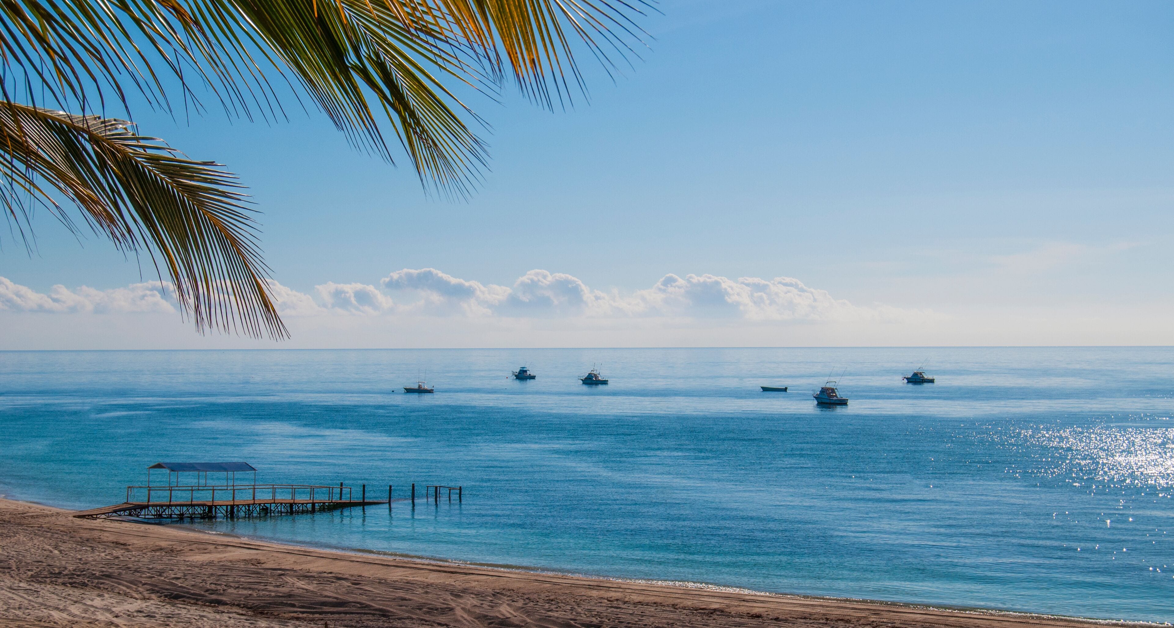 A beach with a palm tree, a pier, and several boats on the water.