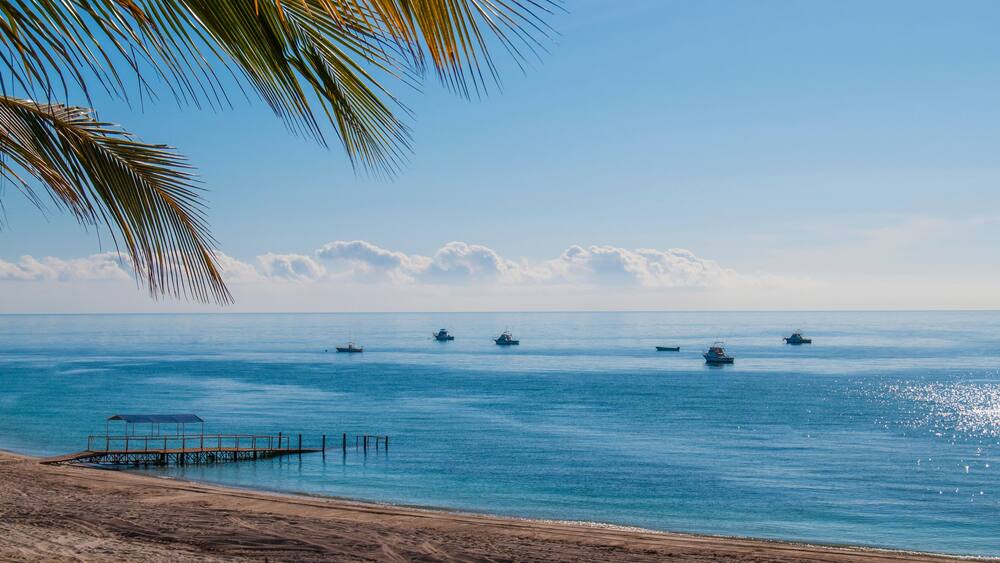A beach with a palm tree, a pier, and several boats on the water.