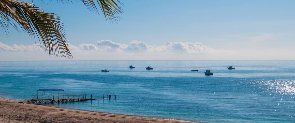 A beach with a palm tree, a pier, and several boats on the water.