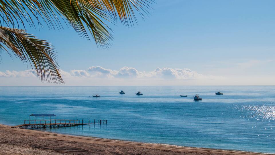 A beach with a palm tree, a pier, and several boats on the water.