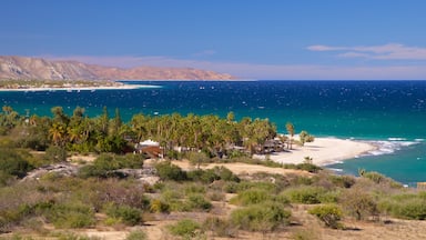 Los Barriles which includes landscape views and general coastal views