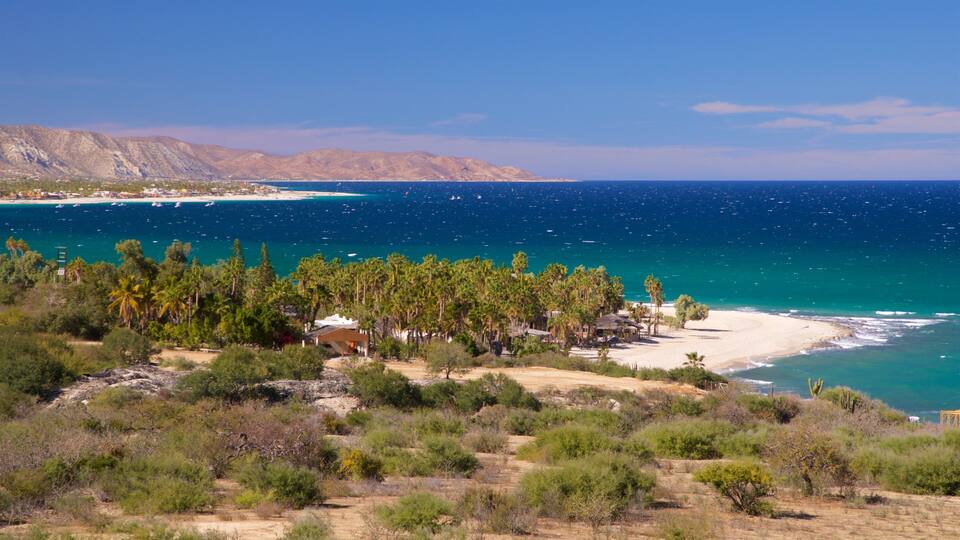 A coastal landscape with a beach, palm trees, and mountains in the background.