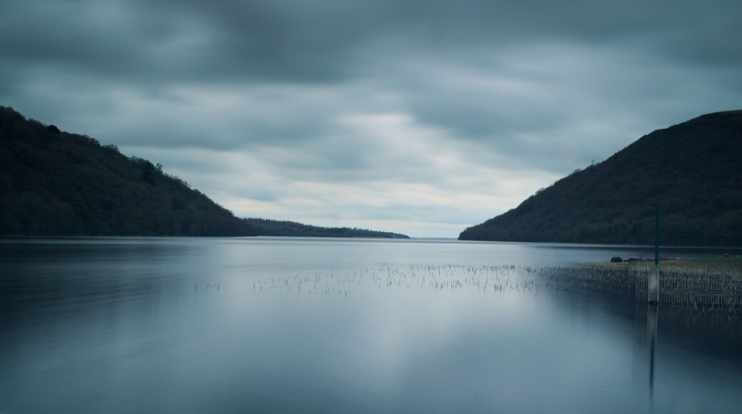 This is a stunning spot in Co. Westmeath! I had to stand out in the lake to get this shot!!