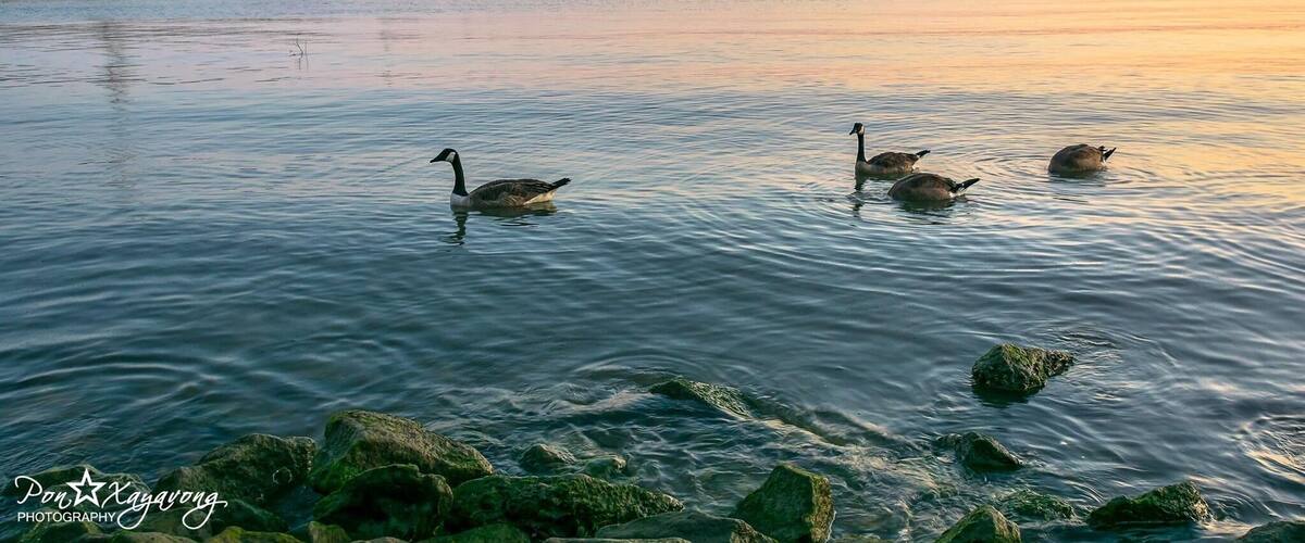 Beautiful park and beach during sunset