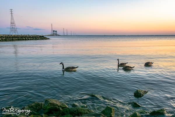 Ein ruhiger See mit schwimmenden Enten, einer steinigen Uferlinie und einer weit entfernten Strommast-Konstruktion.