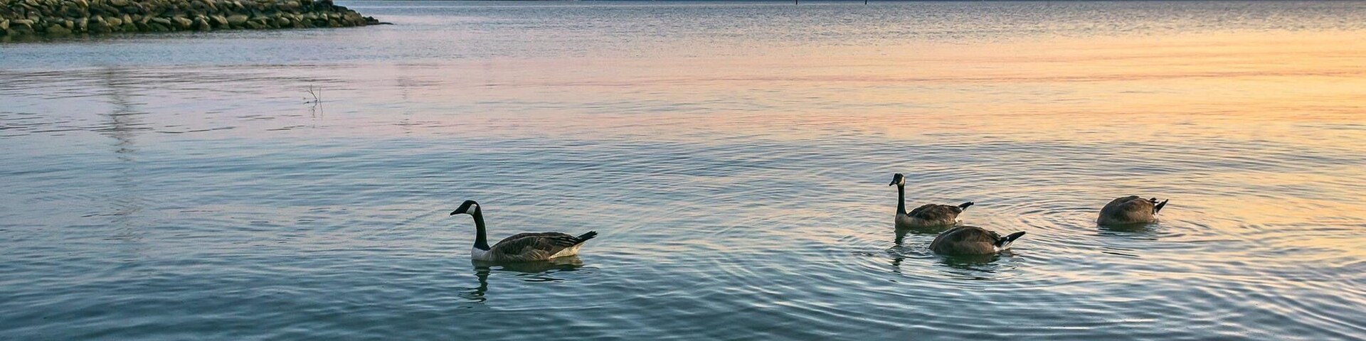 Beautiful park and beach during sunset