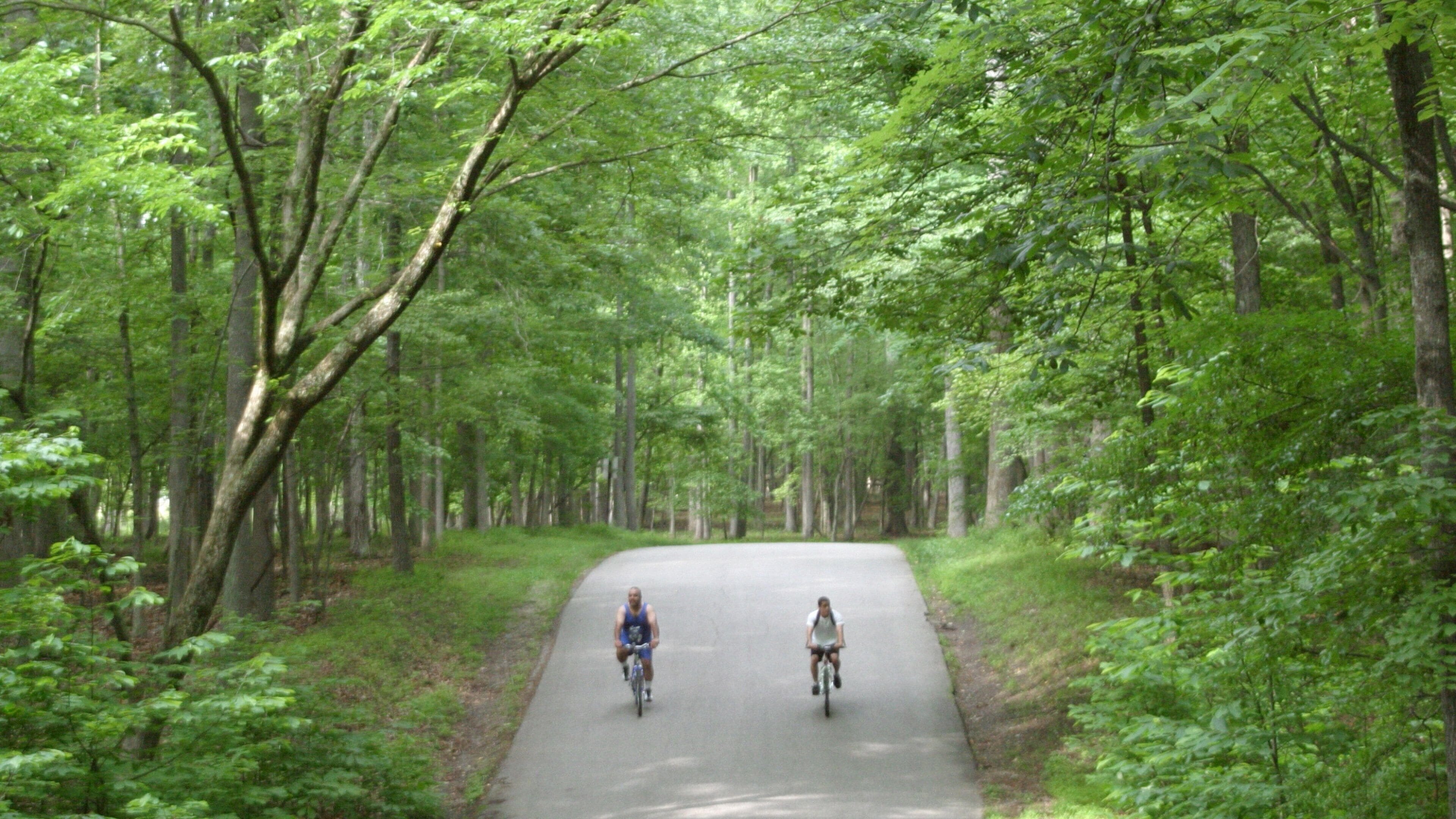 Newport News som inkluderar en trädgård, skogslandskap och cykling